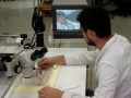 MAX WORKING ON PAPER WITH VIDEO MICROSCOPE ON THE BIG ROOM